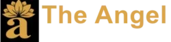the angel logo