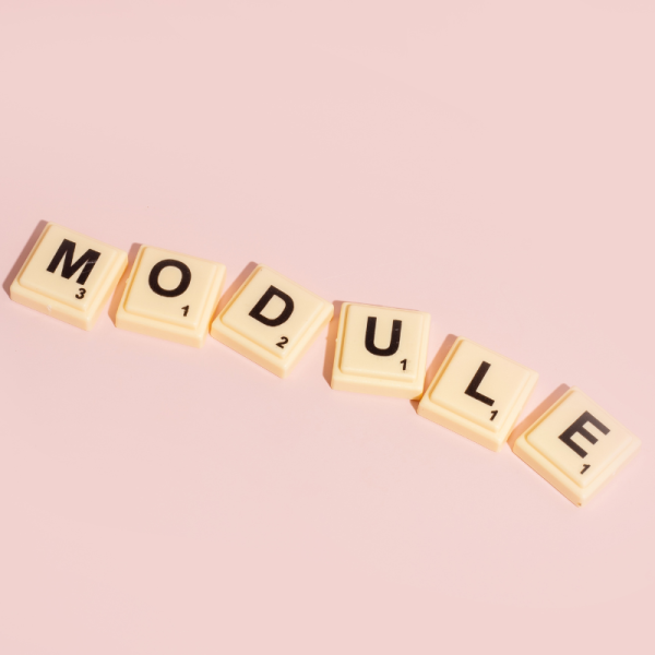 module module